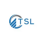 TSL Consulting company logo