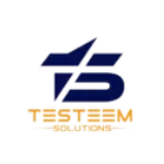 Testeem Solutions company logo