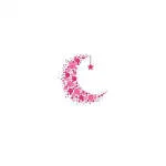 The Pink Moon company logo