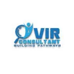 VIR Consultant LLC company logo