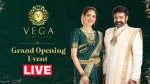 Vega Jewellers company logo