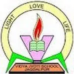 Vidya Jyothi School company logo