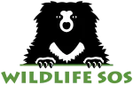 Wildlife SOS company logo