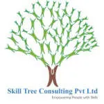 skillstried consulting pvt ltd company logo