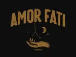 AMOR FATI VENTURES LLP company logo