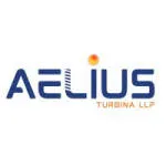 Aelius Turbina LLP company logo