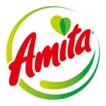 Amita Global Private Limited company logo