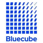 BlueCube BPO Solutions company logo