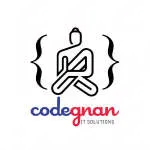 Codegnan IT Solutions company logo