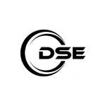 DSE Technologies (P) Ltd. company logo