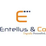 Entellus & Co company logo