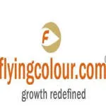 Flying Colour Business Setup Services company logo