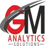 GM Analytics Solutions company logo