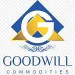 GOODWILL WEALTH MANAGEMENT PRIVATE LIMITED company logo