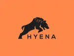 HYNA Leather LLC company logo