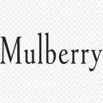 MULBERRY SMART HOME APPLIANCES company logo