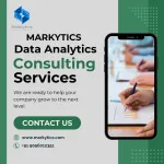 Markytics Consulting Pvt Ltd company logo