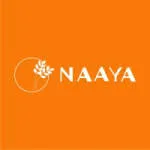 Naaya Business Ventures Pvt Ltd company logo