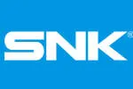 SNK Web Solutions company logo