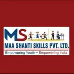 Shree Maa Electronics Pvt Ltd company logo