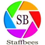 Staffbee Solutions Inc company logo