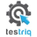 Testriq QA Lab LLP company logo