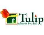 Tulip Infra company logo