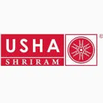 Usha-System company logo