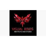 Visual Birds Institute and Studio company logo