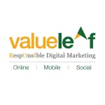 valueleaf services India pvt ltd. company logo