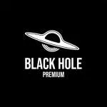 BLACK HOLE INFOSYSTEMS company logo