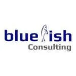 BlueFish Consulting company logo