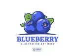 Blueberry Pvt Ltd company logo