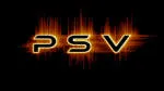 P S S V & Associates LLP company logo