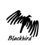 BLCKBVRD company logo