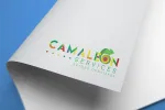 CAMALEON SERVICES company logo