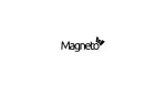 Magneto IT Solutions company logo