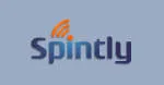 Spintly India Private Limited company logo