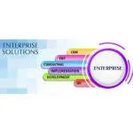 Enterprise IT Solutions company logo