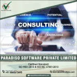 Paradiso Software Pvt. Ltd company logo