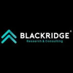 Blackridge Research & Consulting company logo