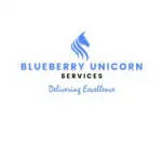 Blueberry unicorn Services company logo