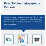 Easy Solution Infosystems (P) Ltd. company logo