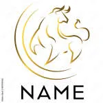 Fin Bulls company logo