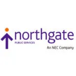 NEC Software Solutions company logo