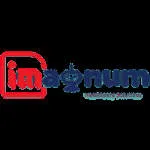 iMagnum Healthcare Solution company logo