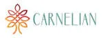 Carnelian Asset Management and Advisors Private... company logo