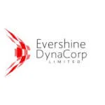 Evershine Dynamic Corporation Ltd company logo