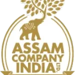 Flavors of Assam company logo
