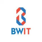 BriskWin IT Solutions company logo